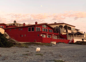 Common-Casa-Backside-2