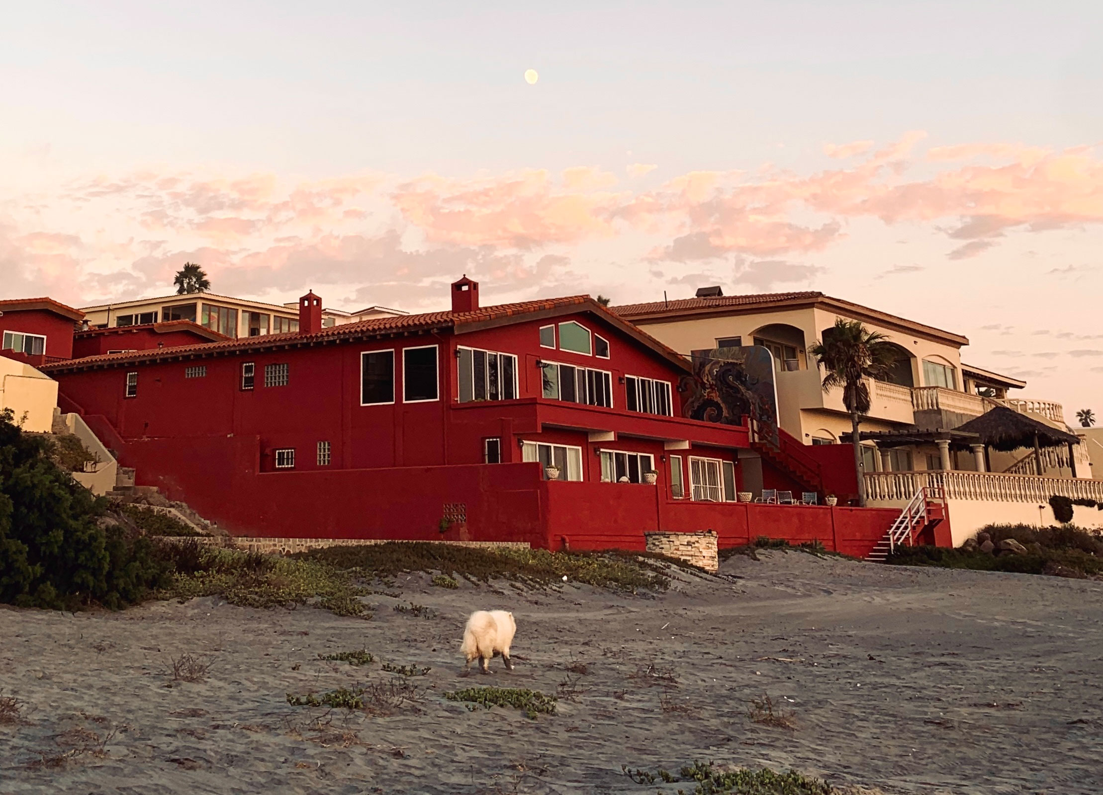 Common-Casa-Backside-2